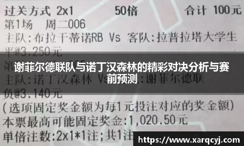 谢菲尔德联队与诺丁汉森林的精彩对决分析与赛前预测
